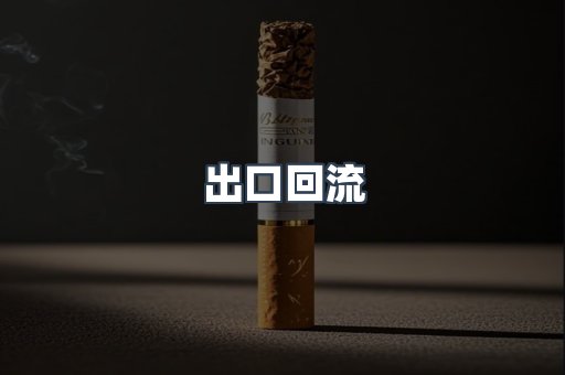 出口回流